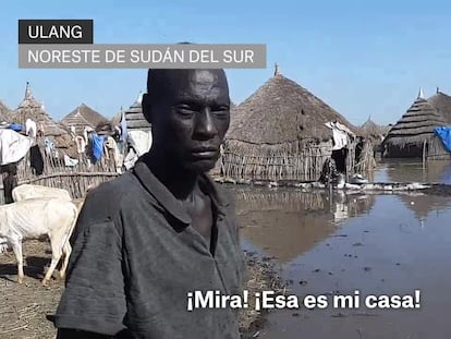 “Los ancianos afirman que nunca han visto nada igual”