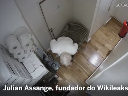 Julian Assange, espionado 24 horas por dia