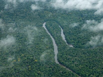 Emprendedoras en medio de la selva