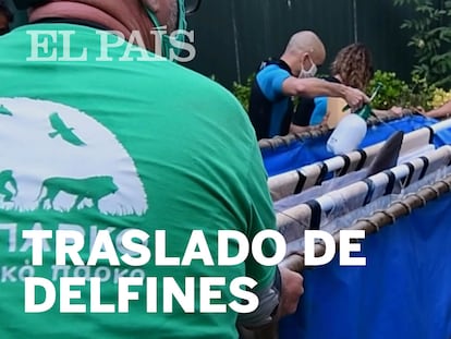 Barcelona traslada a sus delfines sin evaluar el coste 