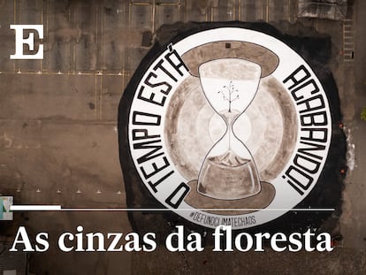 As cinzas das florestas brasileiras alertam que “o tempo está acabando”