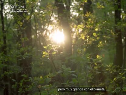 El potencial transformador del campo en Latinoamérica