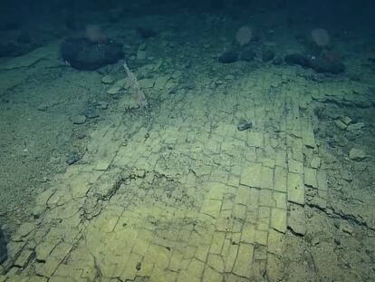 El "camino de baldosas" hallado por un grupo de científicos en el océano Pacífico cerca de Hawái. 