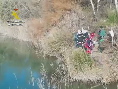 Un detenido y una investigada por ahogar a un perro en una laguna de Madrid atándolo a bloques de hormigón