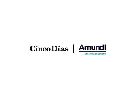 Raúl Fernández (Amundi): “La inversión temática puede darnos alegrías importantes a largo plazo”