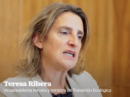 Teresa Ribera: “La segregación de Naturgy no es conveniente en este momento”