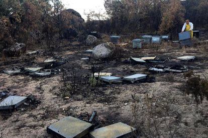 El apicultor José Ignacio Arroyo revisa las colmenas destrozadas tras el incendio forestal.
