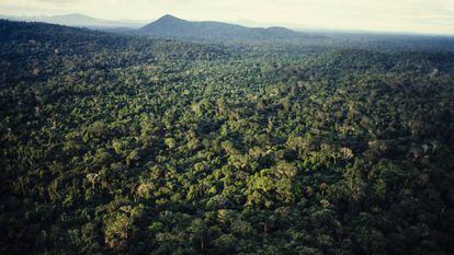 Vista aérea del Amazonas, en el norte de Brasil.