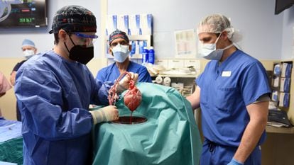 The medical team prepares the transplant of a swine heart from Revivicor to David Bennett, in an operating room at the University of Maryland.