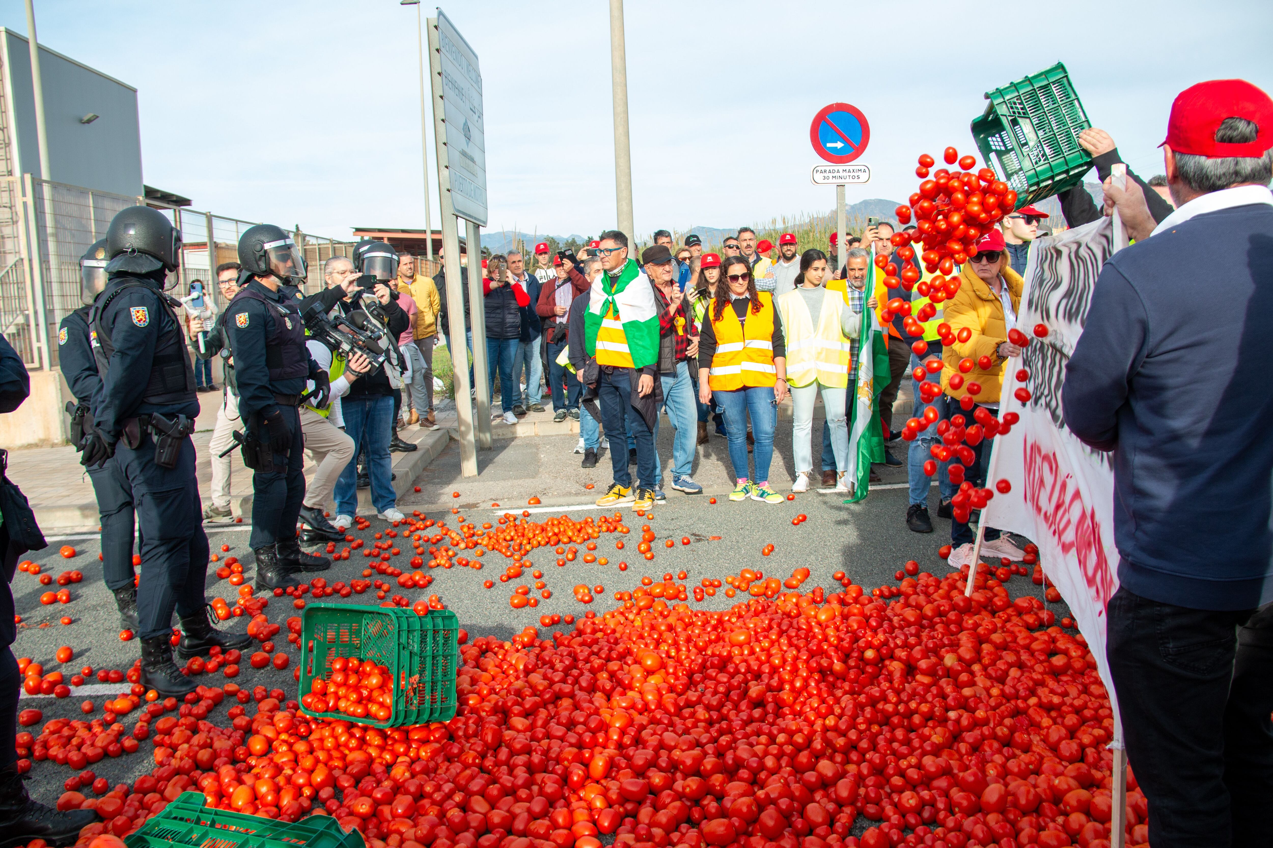 Agricultores arrojaban tomates durante la concentración prevista en el puerto de Motril (Granada).