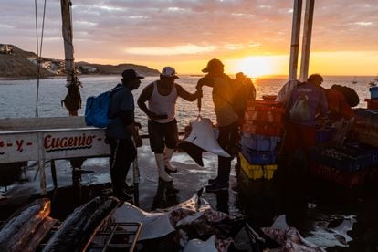 Pescadores preparan su pesca de manta para la comercialización, en El Ñuro, que forma parte de la Reserva Nacional propuesta.