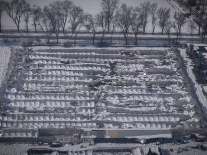 Invernadero destrozado por la nieve en Aranjuez, Madrid.