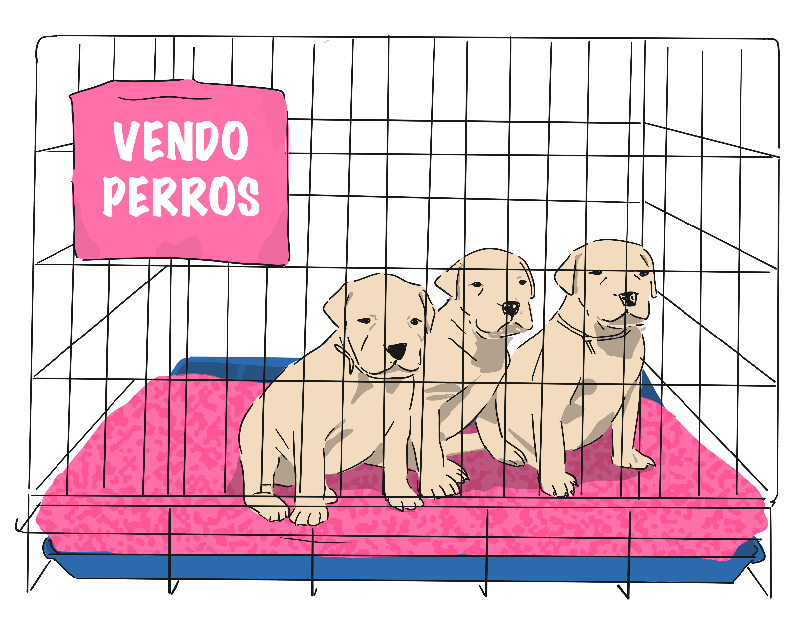 Una de las ilustraciones de Sebastián Angresano que acompañan el libro 'Vidas de J.M.'.