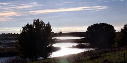 Vistas del recorrido del río Guadiana antes de las Tablas de Daimiel, entre el molino de Griñón y el molino de Molemucho.
