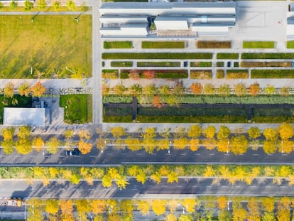 El parque Xuhui Runway de Shanghái ha convertido la última pista del histórico aeropuerto de Longhua en un jardín lineal de casi dos kilómetros de longitud.