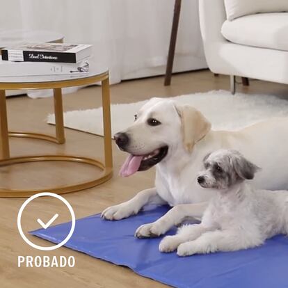 Seleccionamos las mejores camas refrescantes para perros del mercado en este 2023.