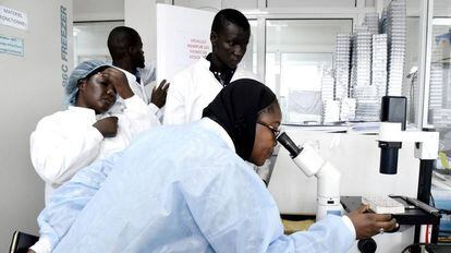 Varios científicos trabajan investigando el coronavirus en el Instituto Pasteur en Dakar.