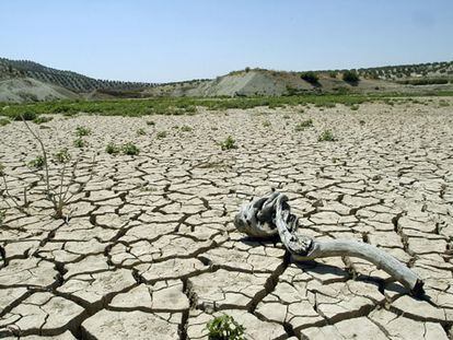 Pantano de Vadomojón (Jaén), afectado por la sequía.