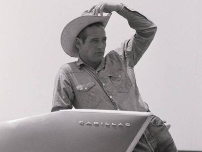 Paul Newman, con camisa y pantalón vaquero sobre un Cadillac en el rodaje de 'Hud, el más salvaje entre mil' en Texas en 1963.
 
 