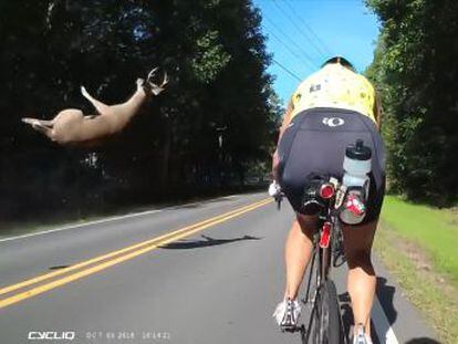 Un grupo de ciclistas grabó el atropello en una carretera de Estados Unidos.