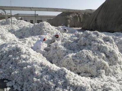 Planta de procesado de algodón en Xinjiang (China).