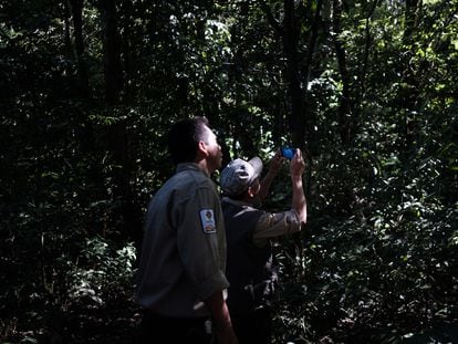 Los guardaparques Dario y Ciro durante un monitoreo en Sadiri, fotografiando una familia de monos Manechi para el registro de fauna.