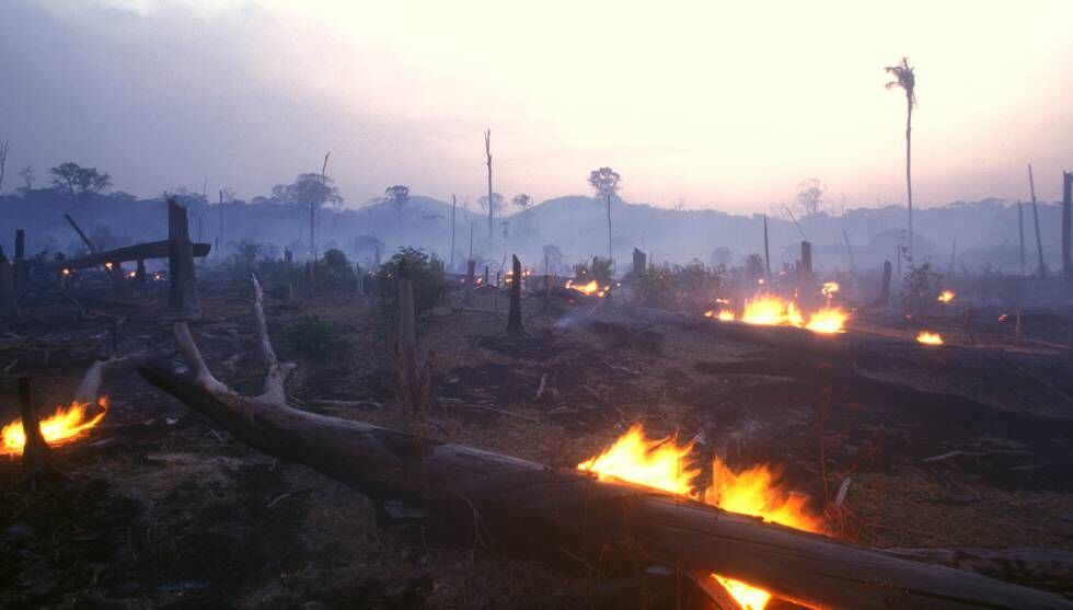 Incendio en una zona deforestada de la Amazonia brasileña.
