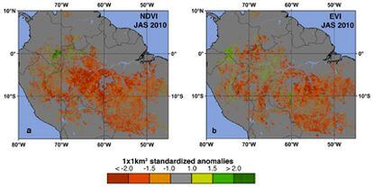 Anomalías de la vegetación provocadas por la sequía en el Amazonas de julio a septiembre de 2010, medidas por dos índices de vegetación.