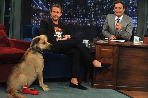 El actor Ryan Gosling (sin calcetines) con su perro George (con calcetín) en el programa de Jimmy Fallon, en Nueva York.