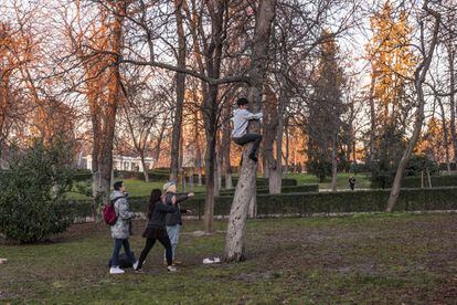 Un joven se sube a un árbol del parque del Retiro, pese a estar prohibido.