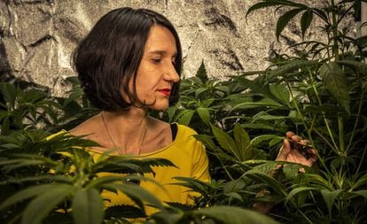 Carola Pérez, presidenta dek Observatorio Español de Cannabis Medicial, en su cultivo casero.