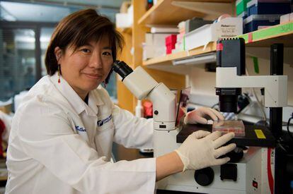 Katherine Wu, investigadora del Instituto de C&aacute;ncer Dana-Farber, en Boston (EE UU).