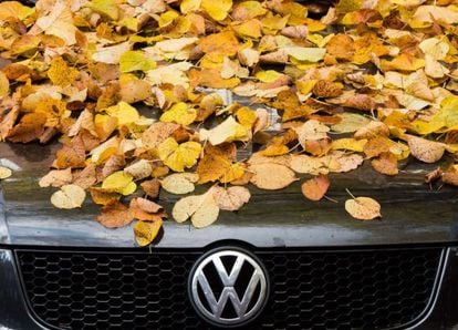 Hojas caídas de un árbol sobre un Volkswagen Polo en Hamburgo (Alemania).