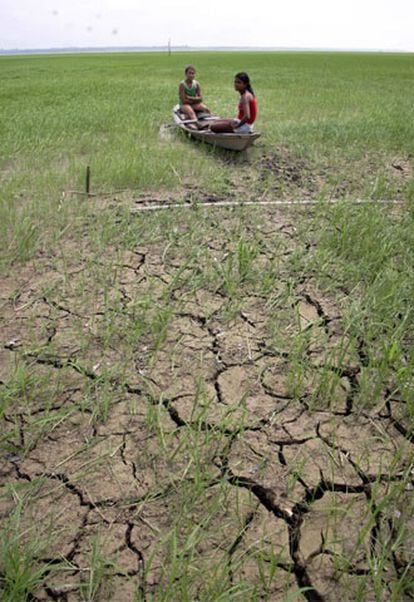 La sequía está afectando gravemente a la Amazonía brasileña.