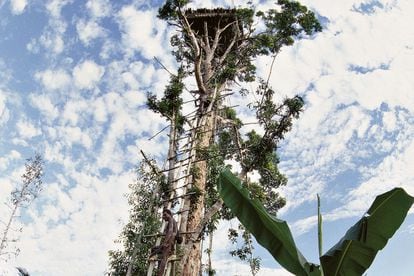 Ubicada en Papúa (Indonesia), esta cabaña encarna de forma auténtica la experiencia de vivir en los árboles. El acceso, a través de una infinita escalera de madera, sitúa a sus huéspedes un poco más cerca de las nubes.
