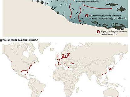 Zonas muertas en el mar