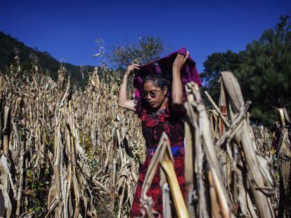 María Isabel Can, de 37 años, es miembro de la Comisión de Agua para controlar el consumo de los hogares gracias a un nuevo sistema de bombeo.