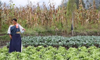 Una mujer junto a sus cultivos en Ecuador.