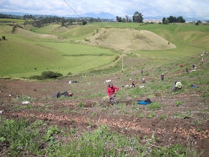 Mujeres y agricultura: el futuro de Latam