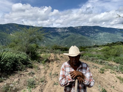 Don Zeferino Leon Nava, trabajando su tierra en la comunidad de Loma de Perempitz, Jalisco.