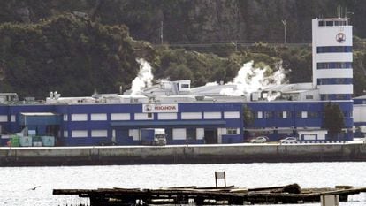 Pescanova se dispara un 49% en Bolsa tras el interés de Abanca en aumentar su participación en Nueva Pescanova