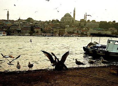 Vistas de Estambul