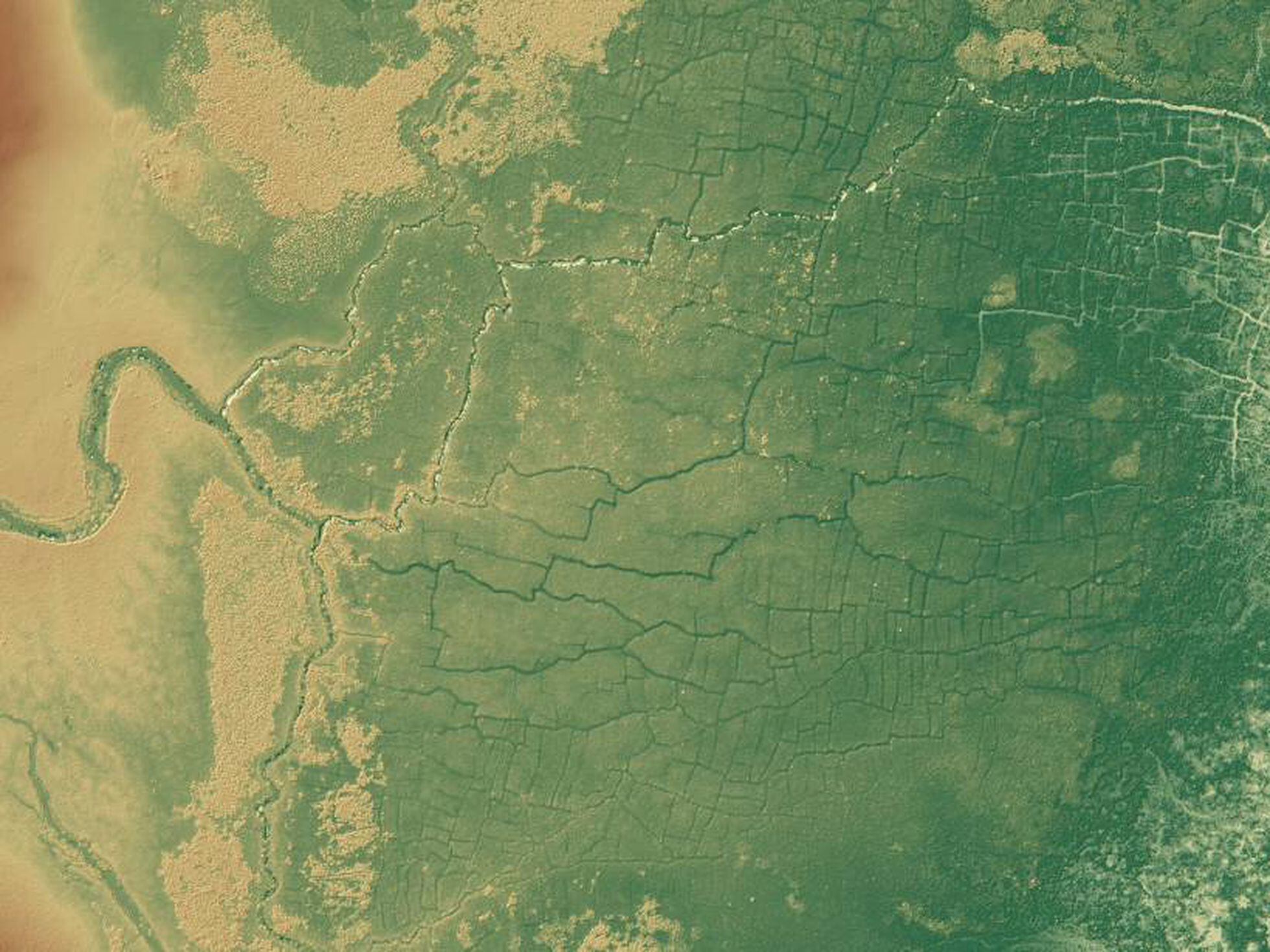 Inconsciente Perforar vacío Belice: Hallada una enorme red de canales y cultivos mayas oculta bajo la  selva | Ciencia | EL PAÍS