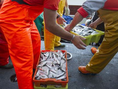 Trabajadores en el puerto de Vigo 