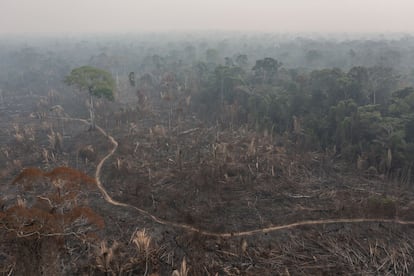 Un incendio forestal en el interior de la reserva Jaci-Paraná, en Porto Velho.