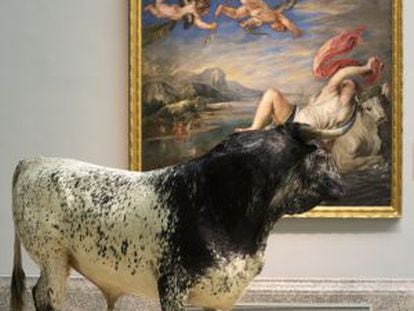 El toro de Veragua, con un cuadro de Rubens al fondo.