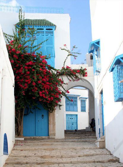 Casas azules y blancas de estilo mediterráneo de Sidi Bou Said