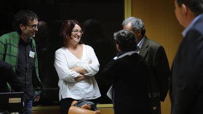 La exsenadora de Amaiur Amalur Mendizabal antes de comparecer en 2013 en el Parlamento vasco.