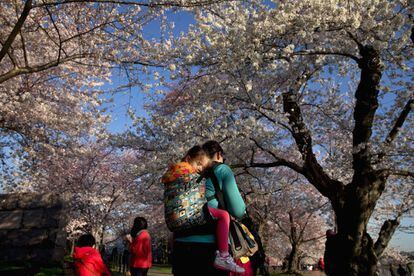 Una niña se queda dormida en la espalda de su madre mientras pasea por un parque en Washington (EE UU), el 24 de marzo de 2016.