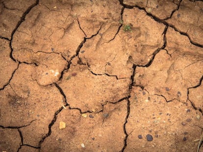 Las formas de vida basadas en la agricultura son cada vez más inciertas debido a la alta variabilidad del clima.